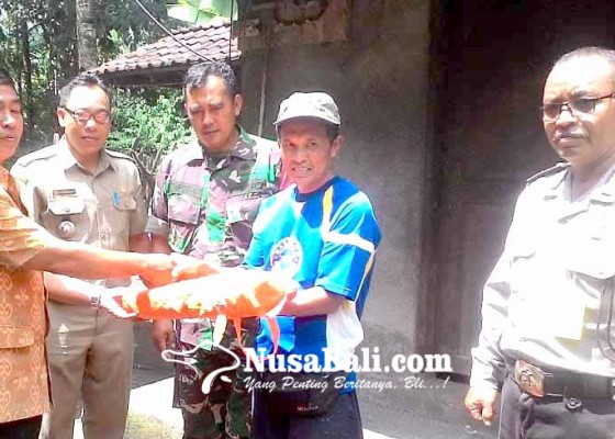 Nusabali.com - bpbd-karangasem-bantu-korban-longsor