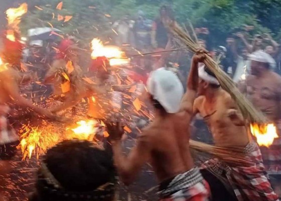 Nusabali.com - ritual-siat-api-krama-desa-pakraman-duda-berperang-dengan-senjata-prakpak