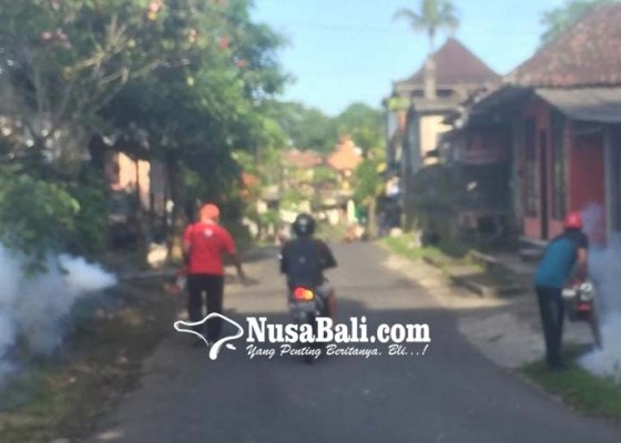 Nusabali.com - awal-2019-63-orang-suspek-demam-berdarah