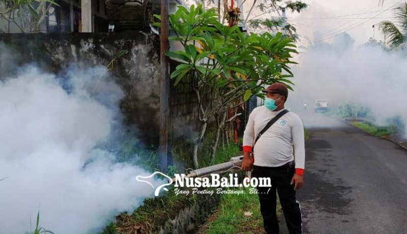 www.nusabali.com-kasus-dbd-di-banjar-pande-petugas-gelar-fogging