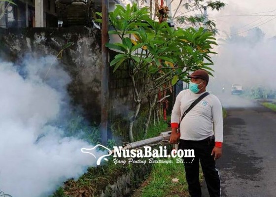 Nusabali.com - kasus-dbd-di-banjar-pande-petugas-gelar-fogging