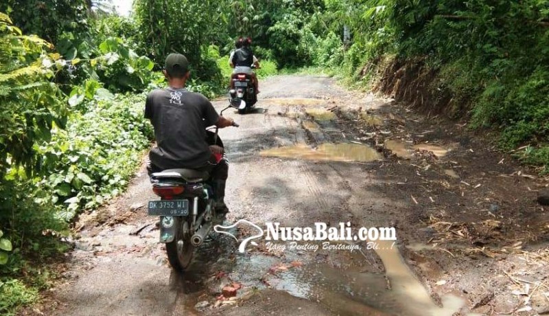 www.nusabali.com-jalan-alternatif-pendem-kebon-hancur