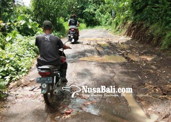 Nusabali.com - jalan-alternatif-pendem-kebon-hancur