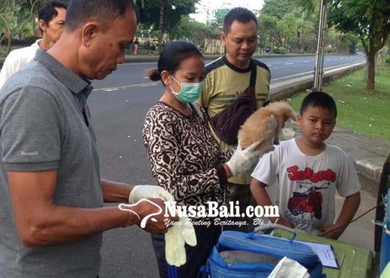 Nusabali.com - vaksinasi-rabies-sasar-16-desa-zona-merah