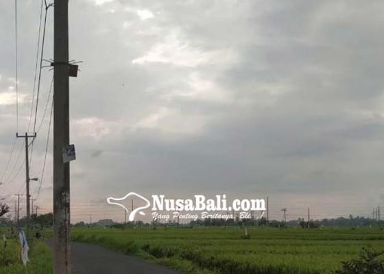 Nusabali.com - lahan-persawahan-terus-menyusut