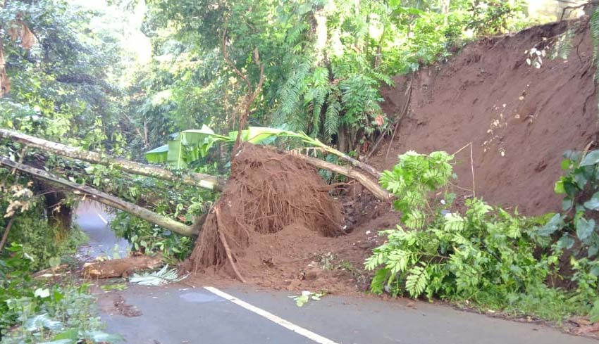 Tanah Longsor Tutup Akses Jalan Di Desa Carangsari 3257