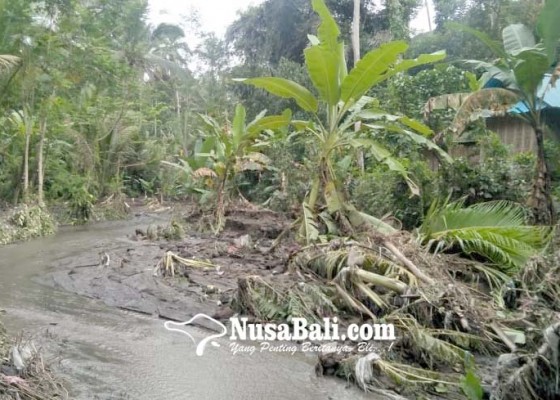 Nusabali.com - jalan-setapak-hancur-diterjang-banjir-bandang