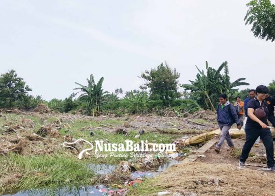 Nusabali.com - puluhan-hektare-sawah-asah-tersapu-banjir