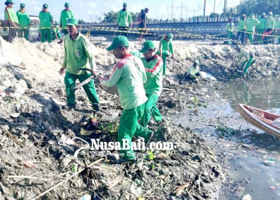 Nusabali.com - dlhk-badung-sulam-mangrove-yang-mati