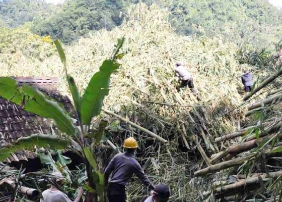 Nusabali.com - rumah-tertimbun-rumpun-bambu