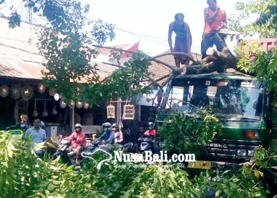 Nusabali.com - tersangkut-truk-trailer-pohon-tumbang-ke-jalan