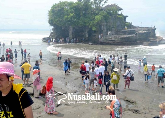 Nusabali.com - kunjungan-wisdom-bulan-mei-di-tanah-lot-turun