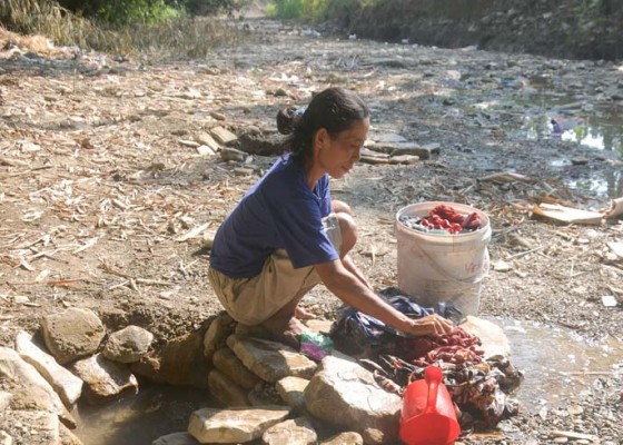 Nusabali.com - mencuci-di-sungai-yang-mengering