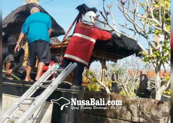 Nusabali.com - lahan-kosong-terbakar-sanggah-tersambar