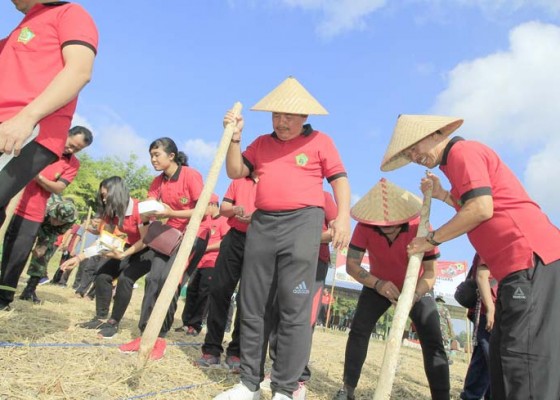 Nusabali.com - petani-jembrana-didorong-tanam-jagung-hibrida