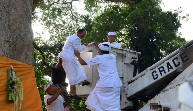 www.nusabali.com-diawali-dengan-ritual-nuhur-taru-di-areal-setra-desa-pakraman-tusan