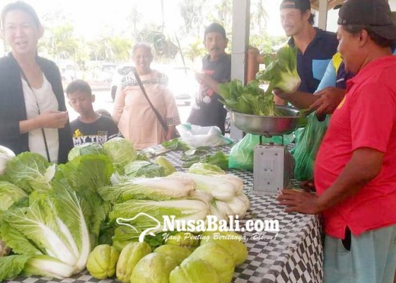 Nusabali.com - sayuran-hasil-berkebun-napi-narkotika-ludes-terjual