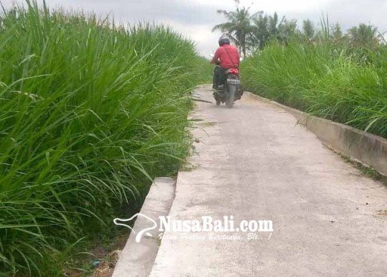 Nusabali.com - jalan-usaha-tani-subak-penida-dinilai-buruk