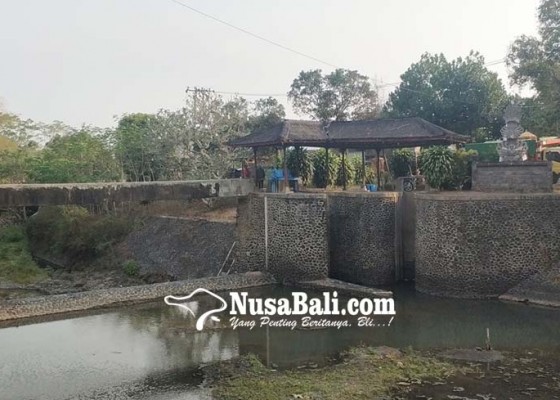 Nusabali.com - hutan-bermasalah-sungai-di-jembrana-mengering