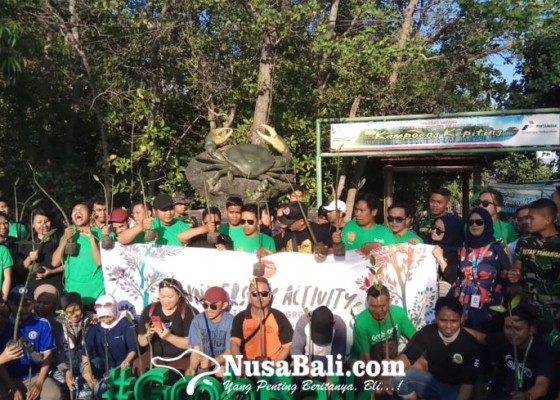 Nusabali.com - 100-bibit-mangrove-ditanam-di-kawasan-kampoeng-kepiting