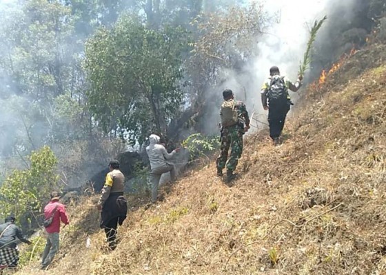 Nusabali.com - 5-hektare-lahan-hutan-bukit-sari-songan-terbakar