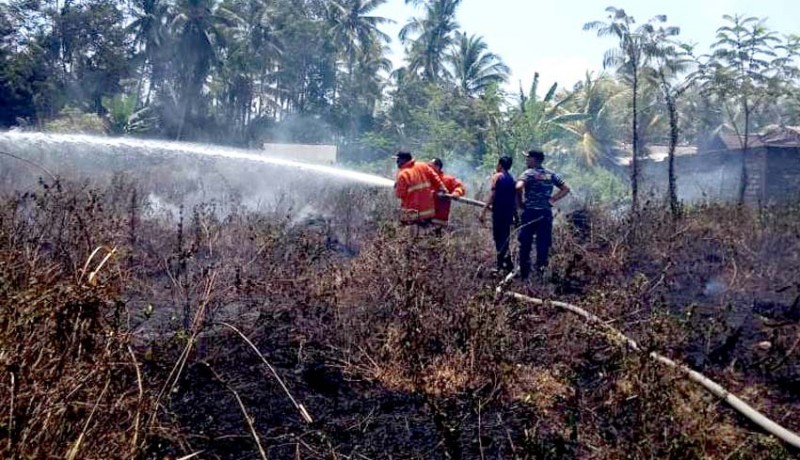 www.nusabali.com-25-are-kebun-sengon-terbakar-di-tegal-cangkring