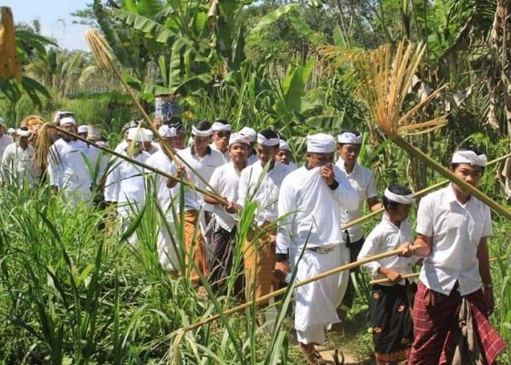 Nusabali.com - diiringi-gambelan-kulkul-dengan-lelontekan-pohon-ketugtug