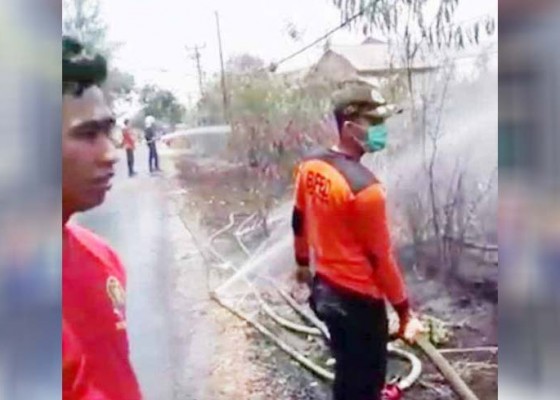 Nusabali.com - lahan-kosong-di-munggu-terbakar