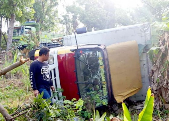 Nusabali.com - sopir-diduga-ngantuk-truk-box-terjun-ke-kebun