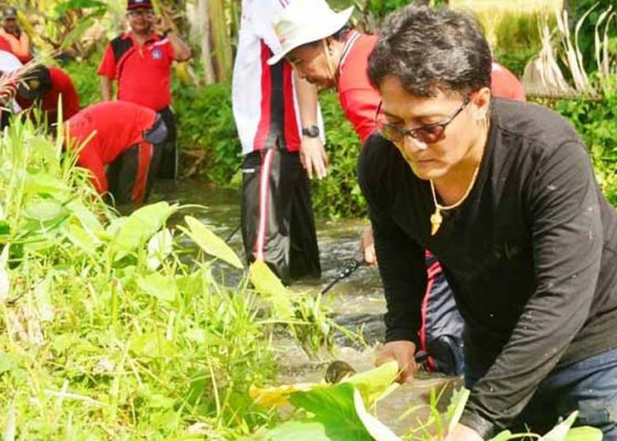 Nusabali.com - bupati-rancang-sungai-dan-saluran-irigasi-memiliki-perangkap-sampah