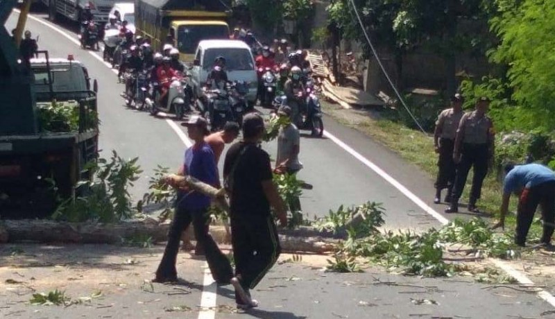 www.nusabali.com-jelang-musim-hujan-polisi-lakukan-pemangkasan-pohon