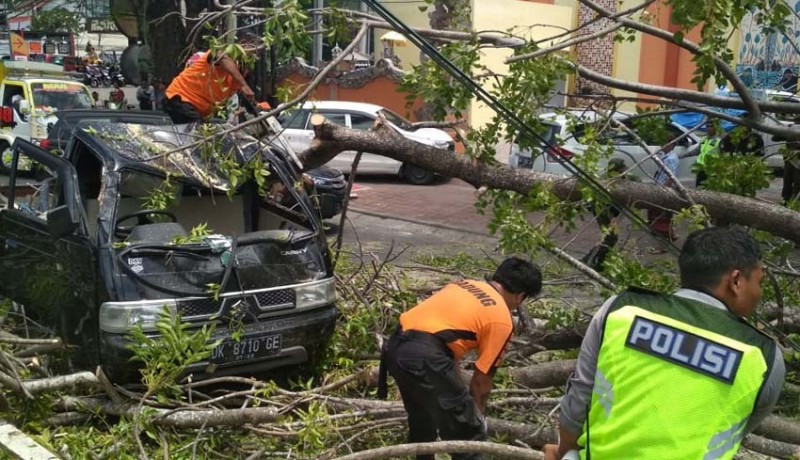 www.nusabali.com-pohon-tumbang-timpa-dua-mobil-di-jalan-bypass-ngurah-rai