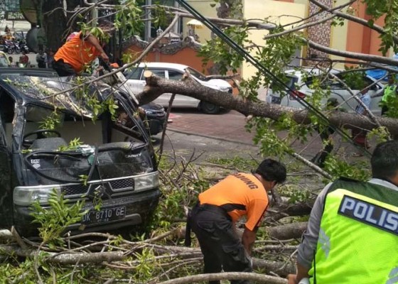 Nusabali.com - pohon-tumbang-timpa-dua-mobil-di-jalan-bypass-ngurah-rai