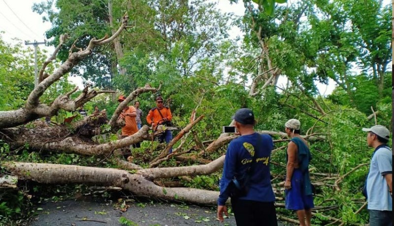 www.nusabali.com-tutup-jalan-menuju-objek-wisata