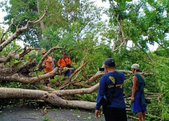 Nusabali.com - tutup-jalan-menuju-objek-wisata