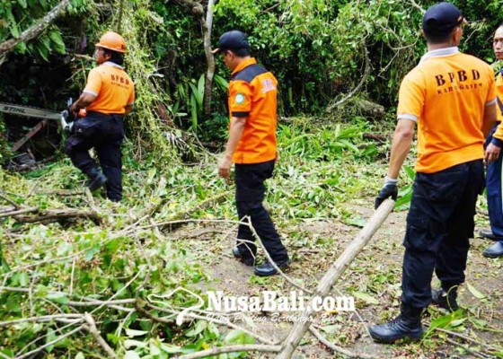 Nusabali.com - garase-dan-dapur-tertimpa-pohon-tumbang