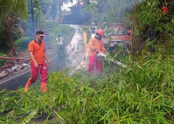 Nusabali.com - pohon-tumbang-dan-banjir-dominasi-bencana-alam