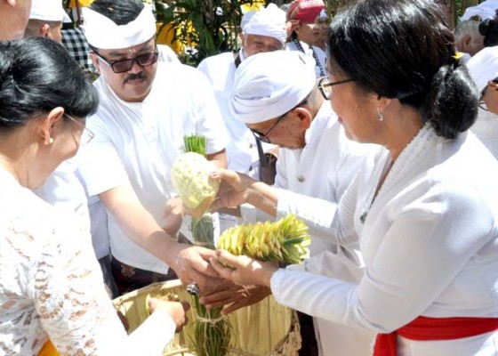 Nusabali.com - digelar-ritual-ngadegan-pamemben-bagia-pula-kerti