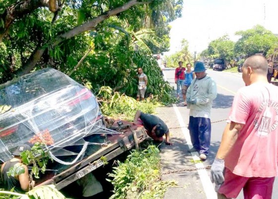 Nusabali.com - sopir-ngantuk-kendaraan-angkut-sedan-bmw-baru-nyungsep