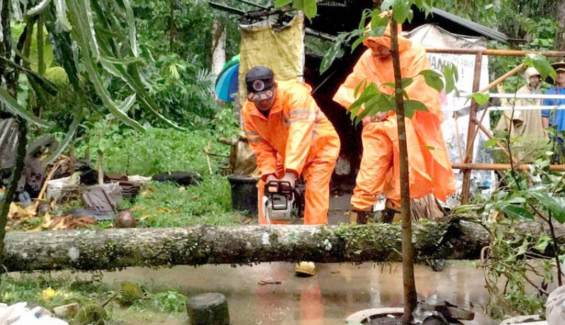 www.nusabali.com-pohon-tumbang-tutup-akses-jalan-di-tukad-ngongkong