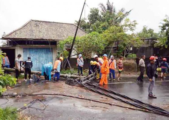 Nusabali.com - aren-timpa-kabel-listrik-pln-lakukan-pemadaman