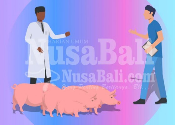 Nusabali.com - komisi-ii-dprd-badung-usul-peternak-babi-dapat-asuransi