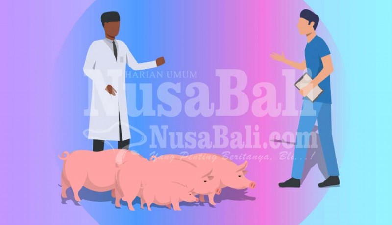 www.nusabali.com-distan-pastikan-jelang-galungan-babi-di-denpasar-aman-dari-virus