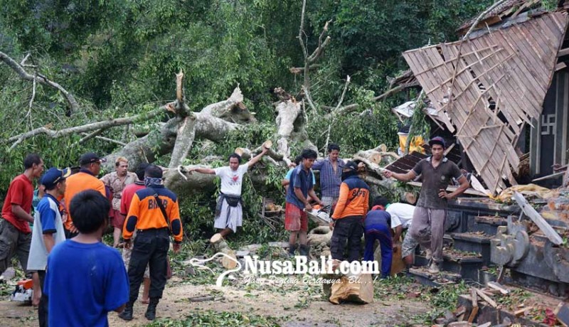 www.nusabali.com-empat-pura-tertimpa-beringin