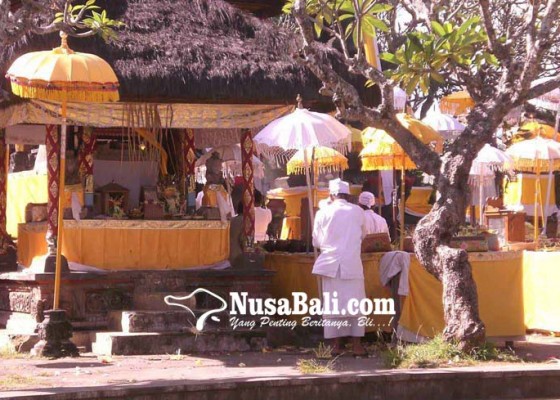 Nusabali.com - jatuh-saat-nyepi-karya-pujawali-pura-kahyangan-silayukti-tetap-jalan