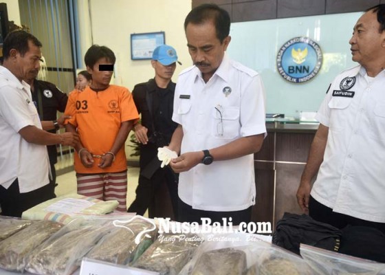 Nusabali.com - selundupkan-8-kg-ganja-residivis-ditangkap