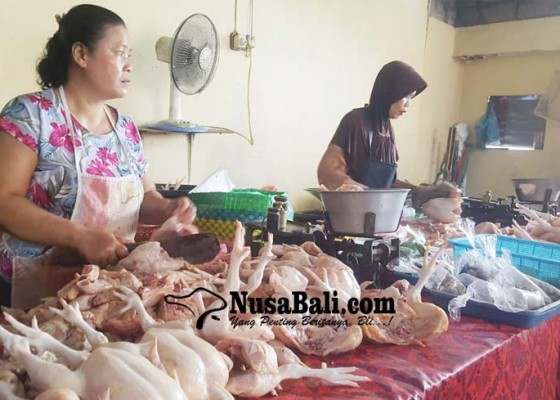 Nusabali.com - harga-jatuh-peternak-ayam-buleleng-menjerit