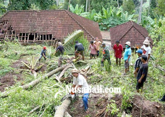 Nusabali.com - diterjang-longsor-rumah-dihuni-tiga-kk-hancur