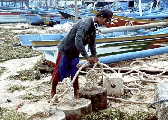 Nusabali.com - ikan-di-pasar-kedonganan-dipasok-dari-banyuwangi-dan-karangasem