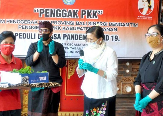 Nusabali.com - tim-pkk-provinsi-bali-dan-pkk-tabanan-bantu-paket-sembako-di-tengah-pandemi